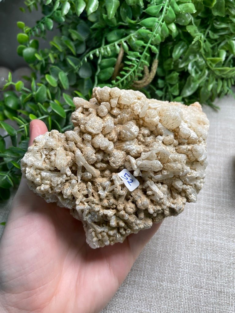 Apophyllite Cluster | Copper Ashes