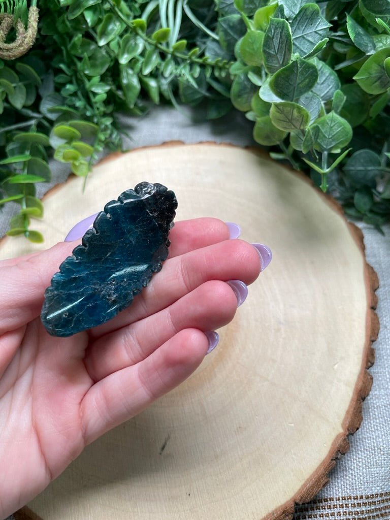 Blue Apatite Ammonite (chipped) | Copper Ashes