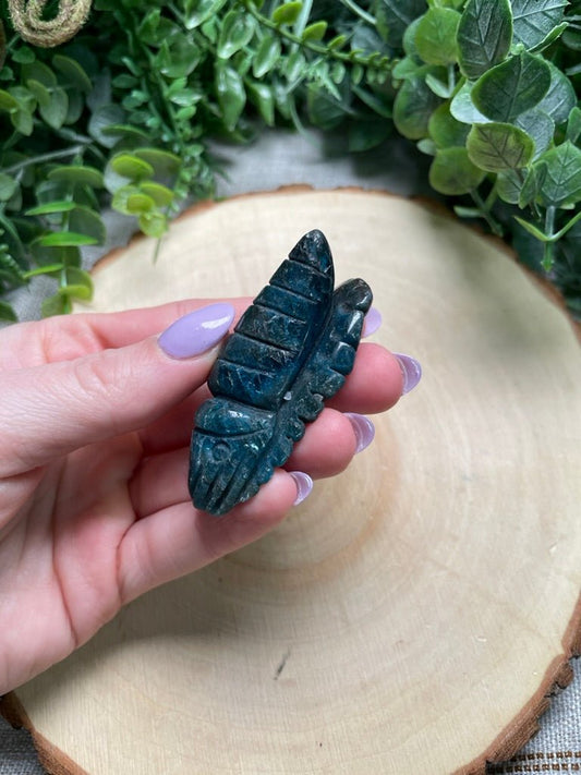 Blue Apatite Ammonite (chipped) | Copper Ashes