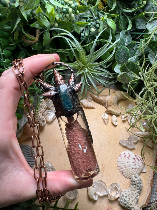 Blue Apatite, Shell, and Starfish Arm Oddity Vial Necklace | Copper Ashes