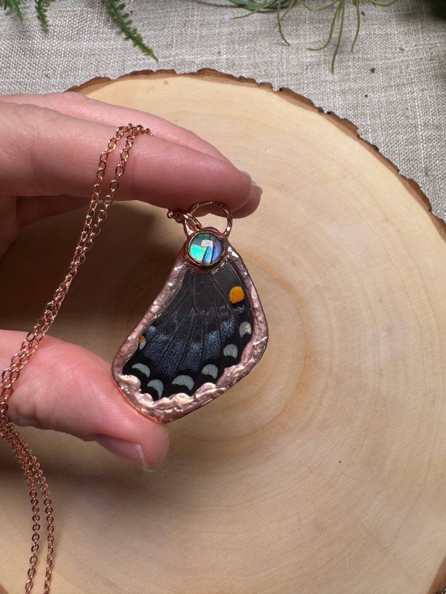 Butterfly Wing and Abalone Shell Necklace | Copper Ashes