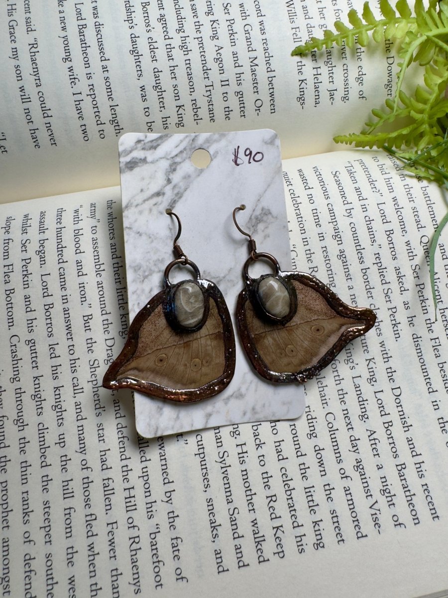 Butterfly Wing and Fossilized Coral Earrings | Copper Ashes