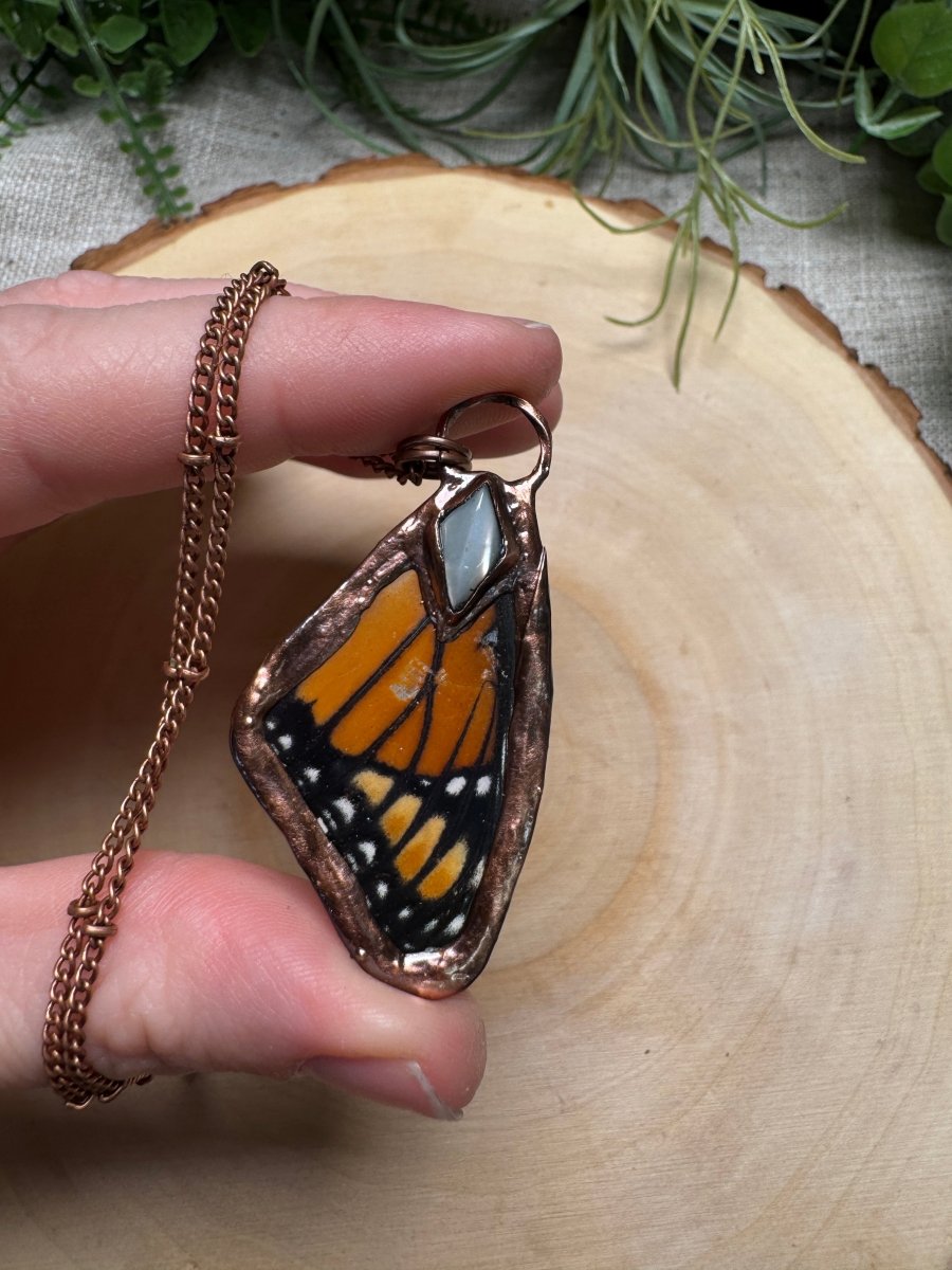 Butterfly Wing and Shell Necklace | Copper Ashes