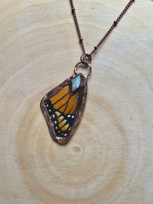 Butterfly Wing and Shell Necklace | Copper Ashes
