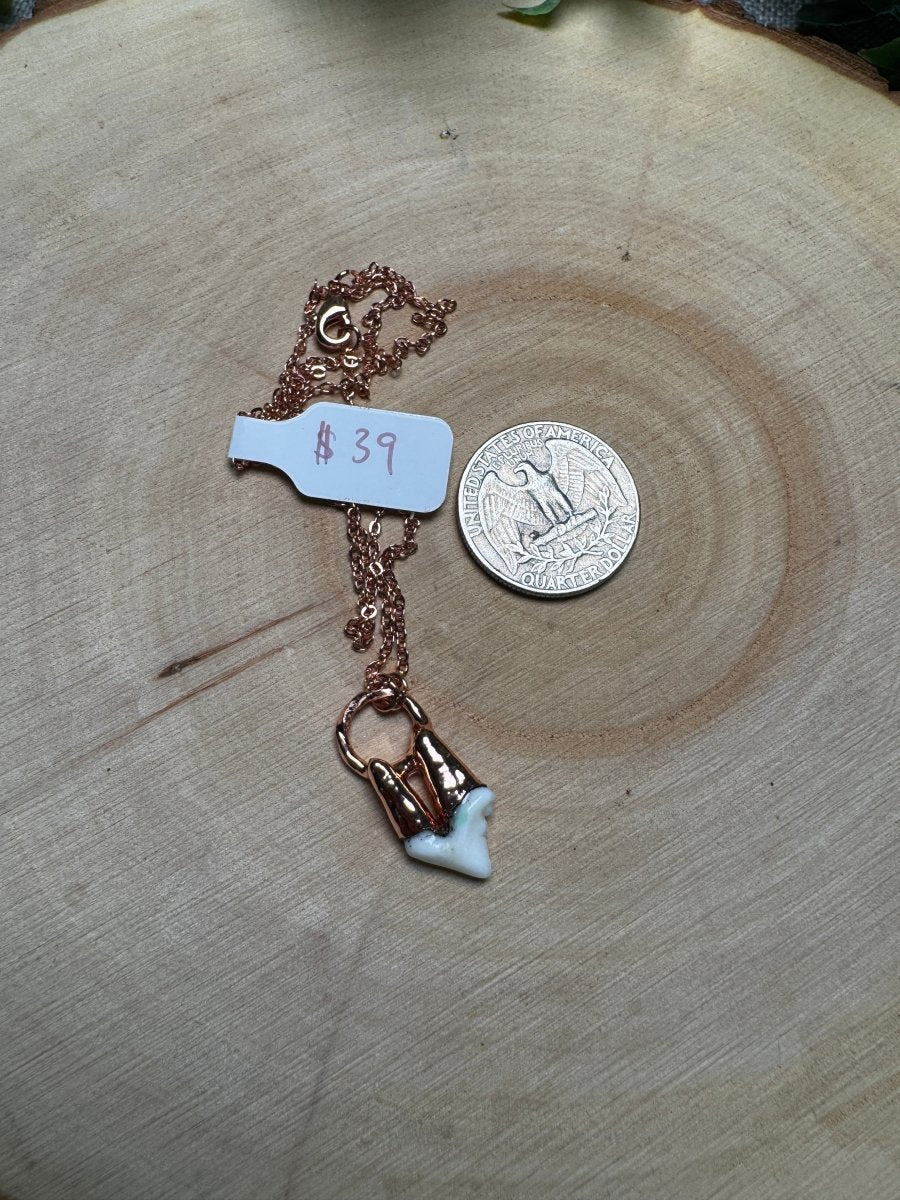 Canine Tooth Necklace | Copper Ashes