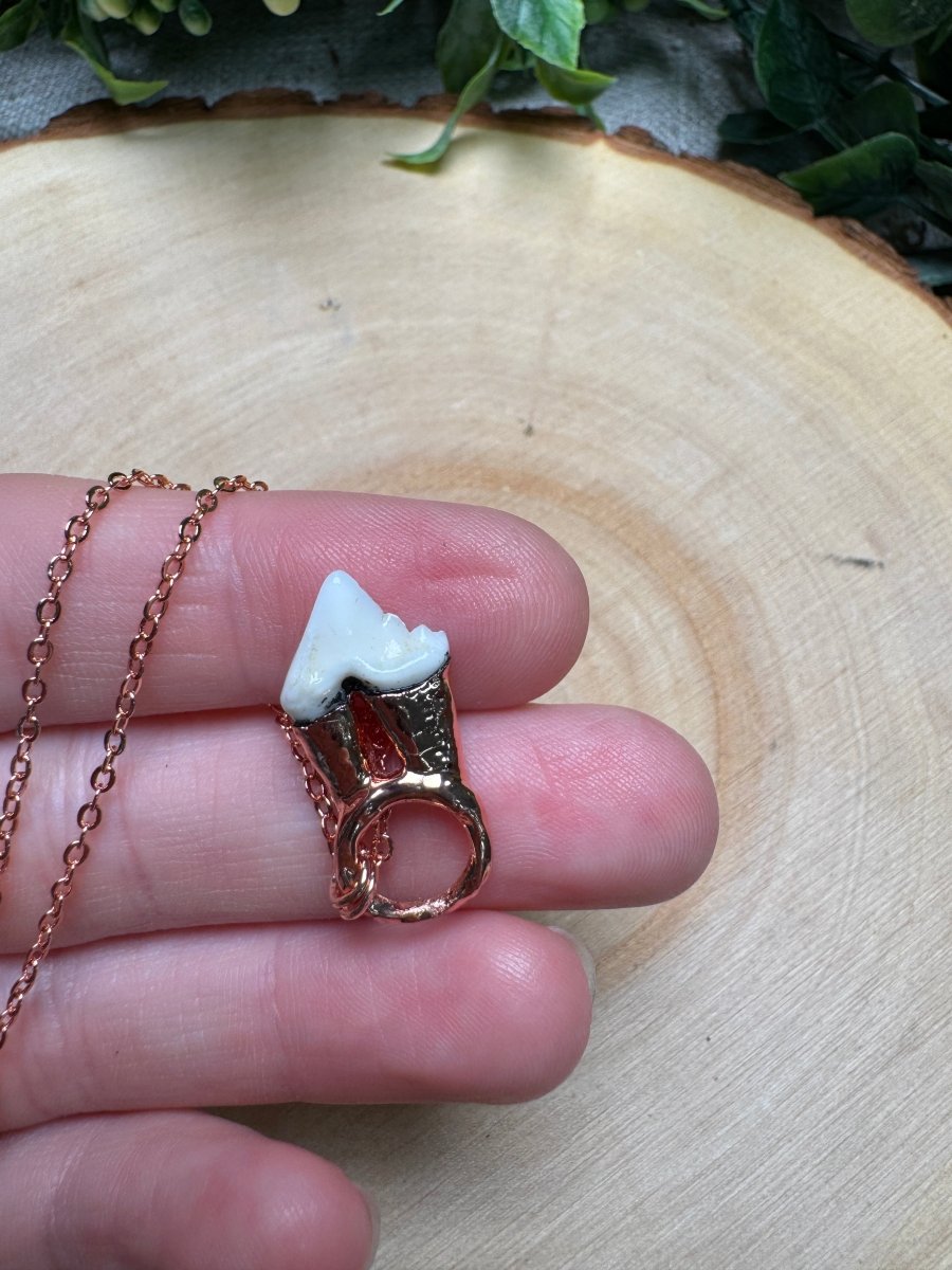 Canine Tooth Necklace | Copper Ashes