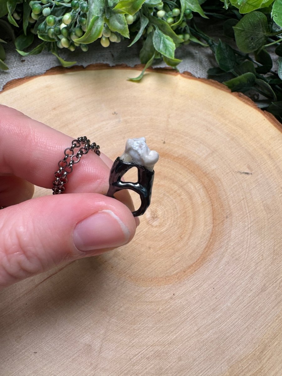 Canine Tooth Necklace | Copper Ashes