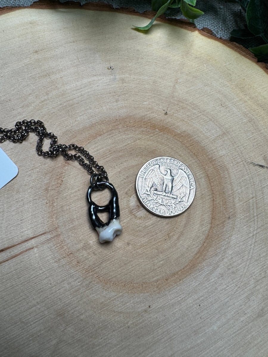 Canine Tooth Necklace | Copper Ashes