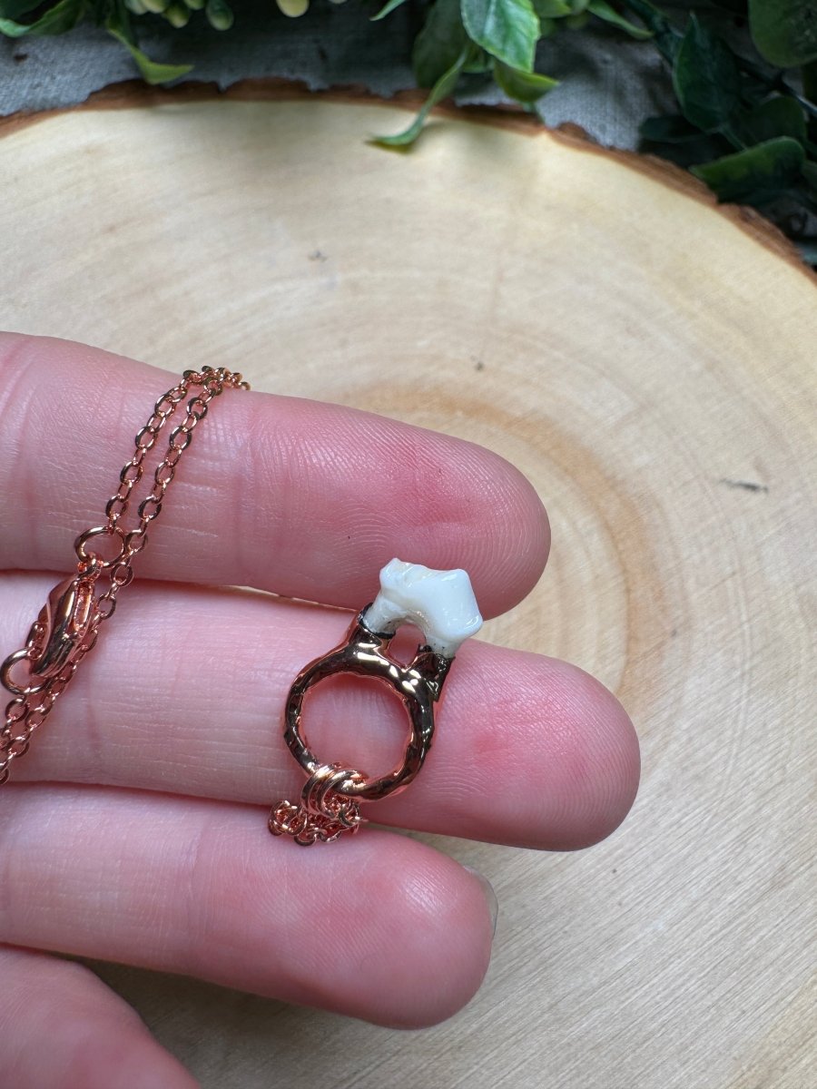 Canine Tooth Necklace | Copper Ashes