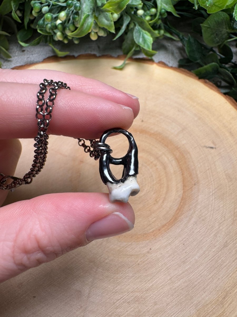 Canine Tooth Necklace | Copper Ashes