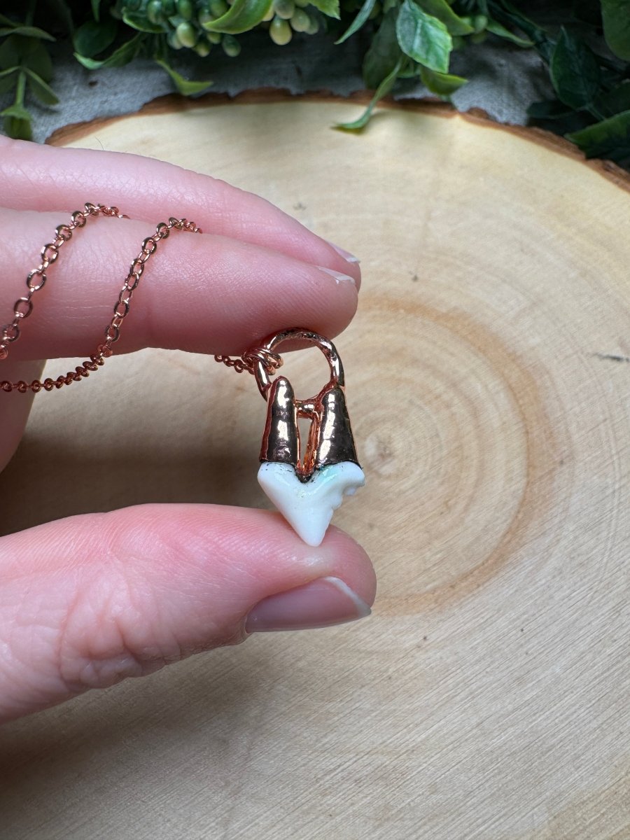 Canine Tooth Necklace | Copper Ashes