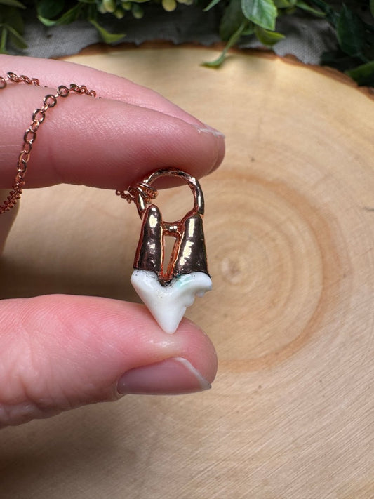 Canine Tooth Necklace | Copper Ashes
