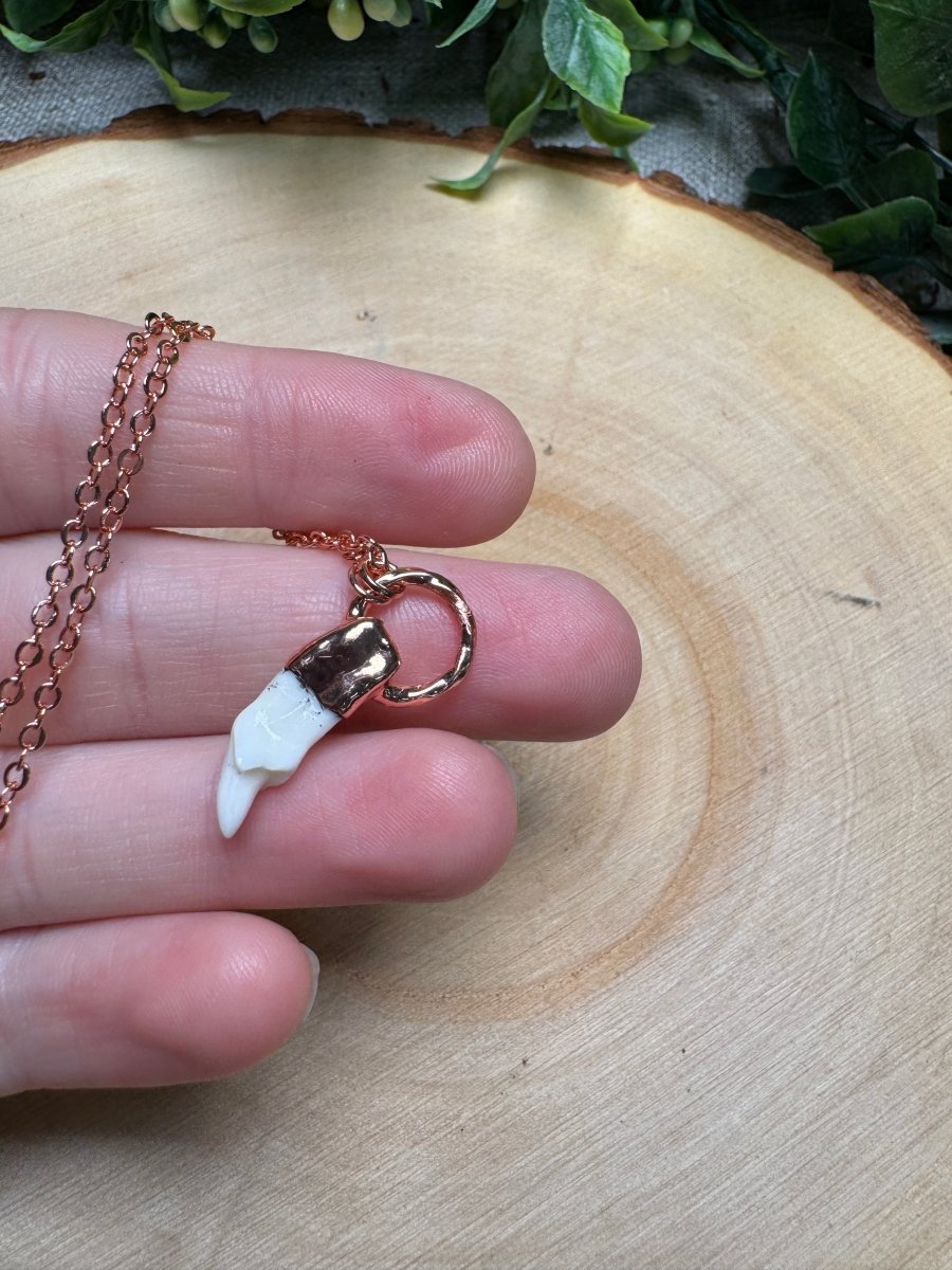 Canine Tooth Necklace | Copper Ashes