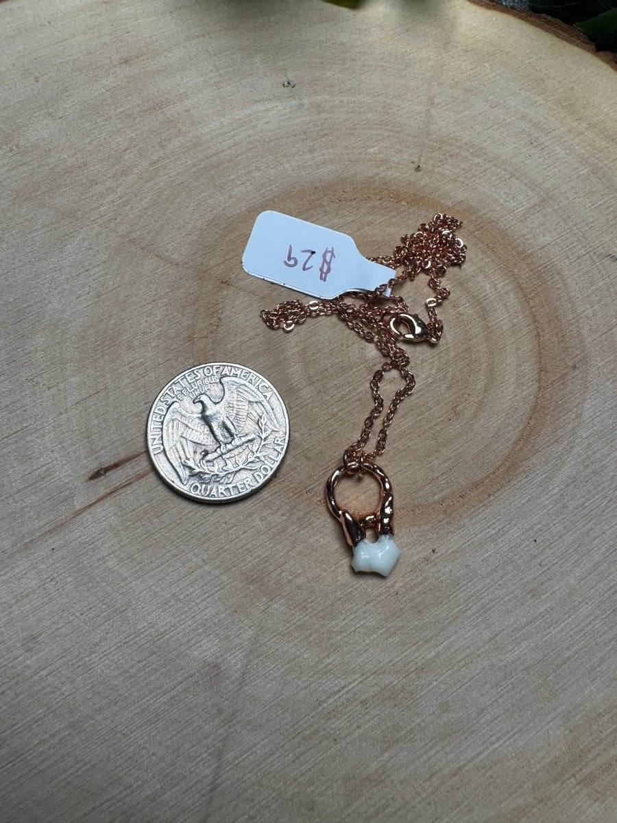 Canine Tooth Necklace | Copper Ashes