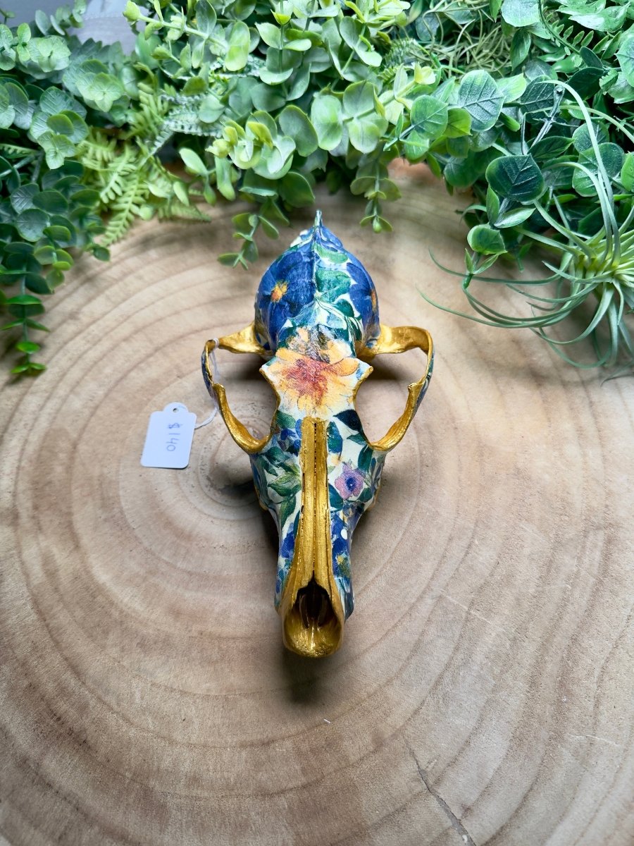 Coyote Mix Skull- Hand Decorated | Copper Ashes