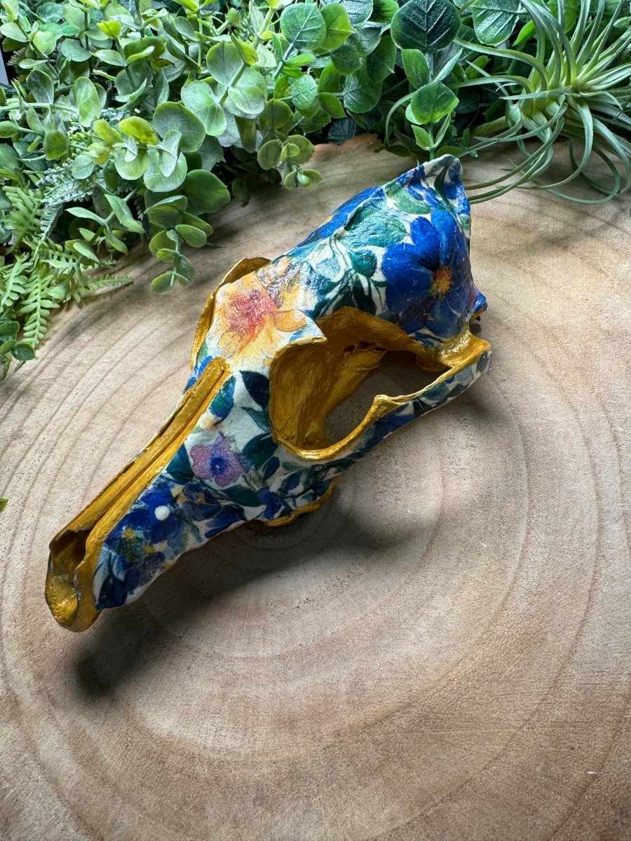 Coyote Mix Skull- Hand Decorated | Copper Ashes