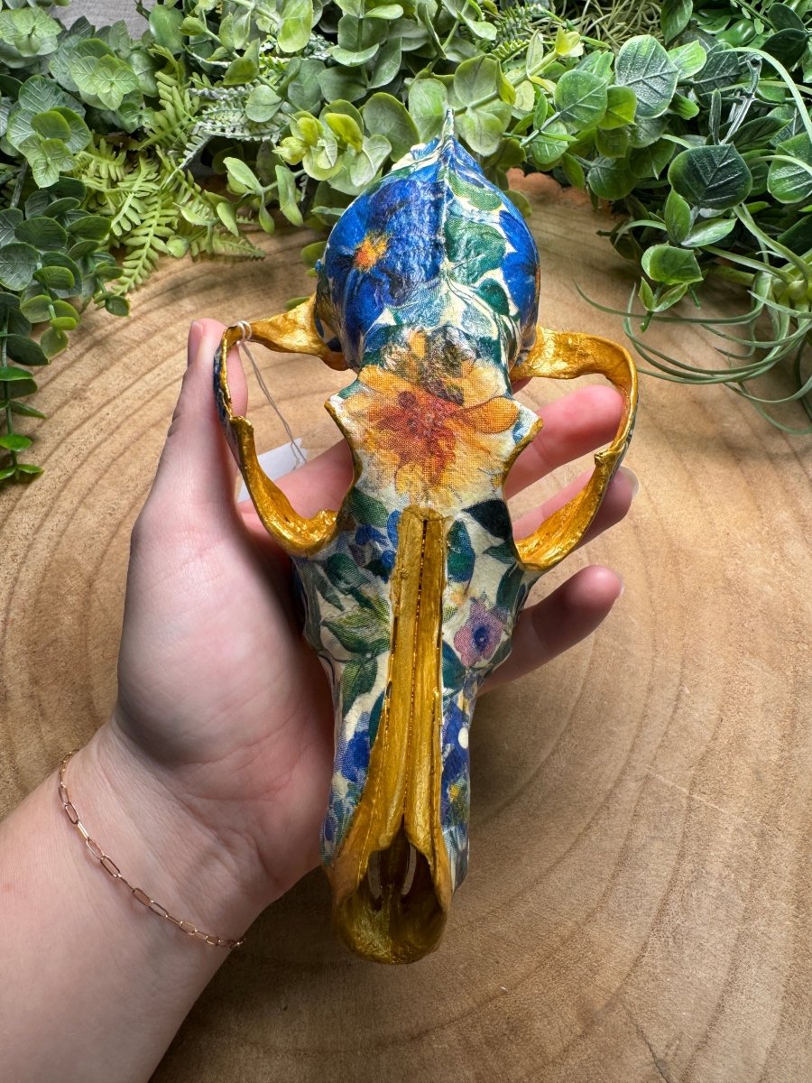 Coyote Mix Skull- Hand Decorated | Copper Ashes