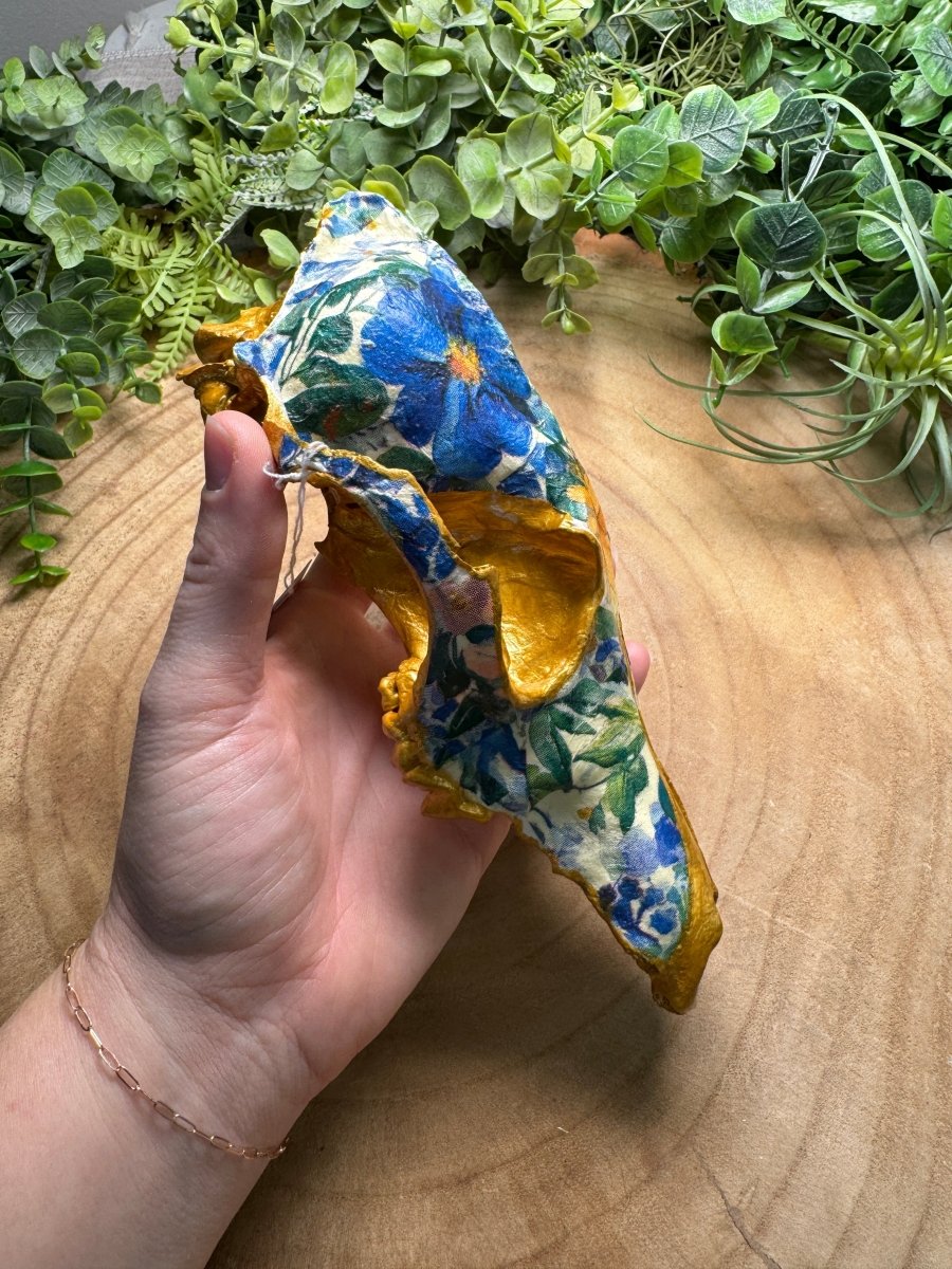 Coyote Mix Skull- Hand Decorated | Copper Ashes