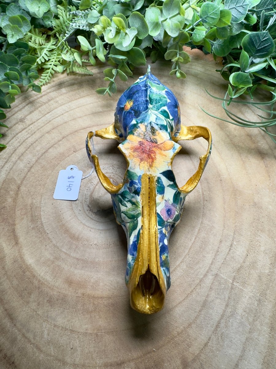 Coyote Mix Skull- Hand Decorated | Copper Ashes