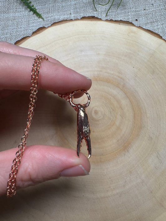 Crab Claw and Necklace | Copper Ashes