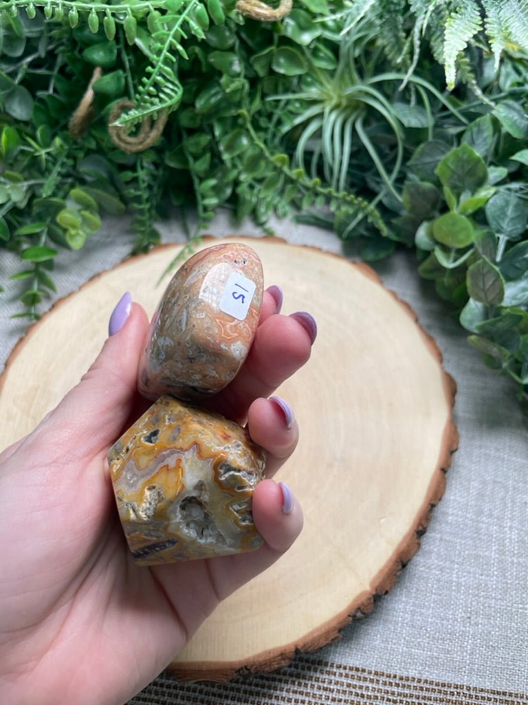 Crazy Lace Agate Freeform | Copper Ashes
