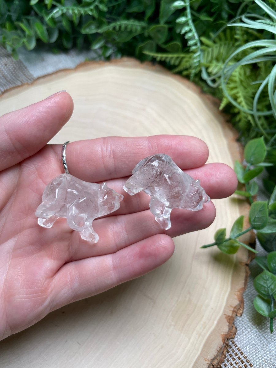 Crystal Bear | Copper Ashes