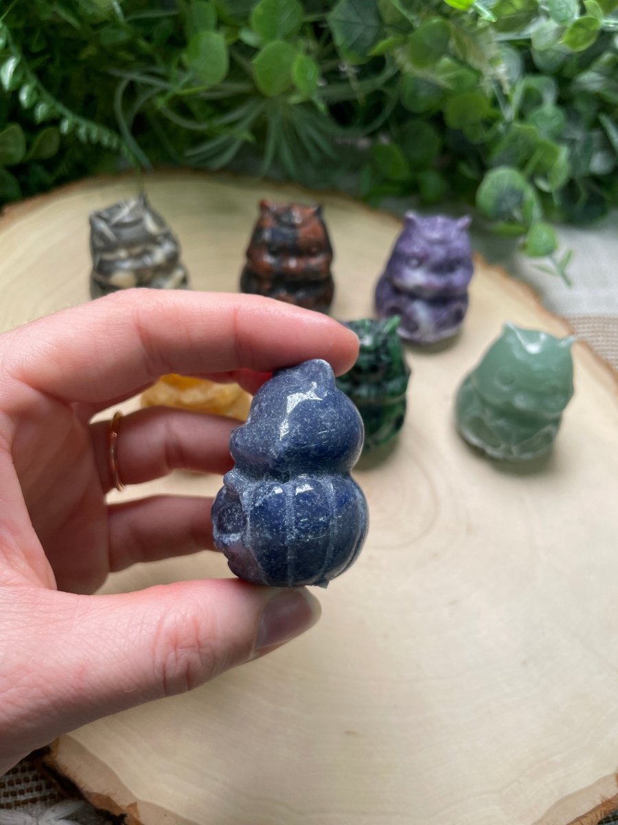 Crystal Chipmunk in a Jack - O - Lantern | Copper Ashes