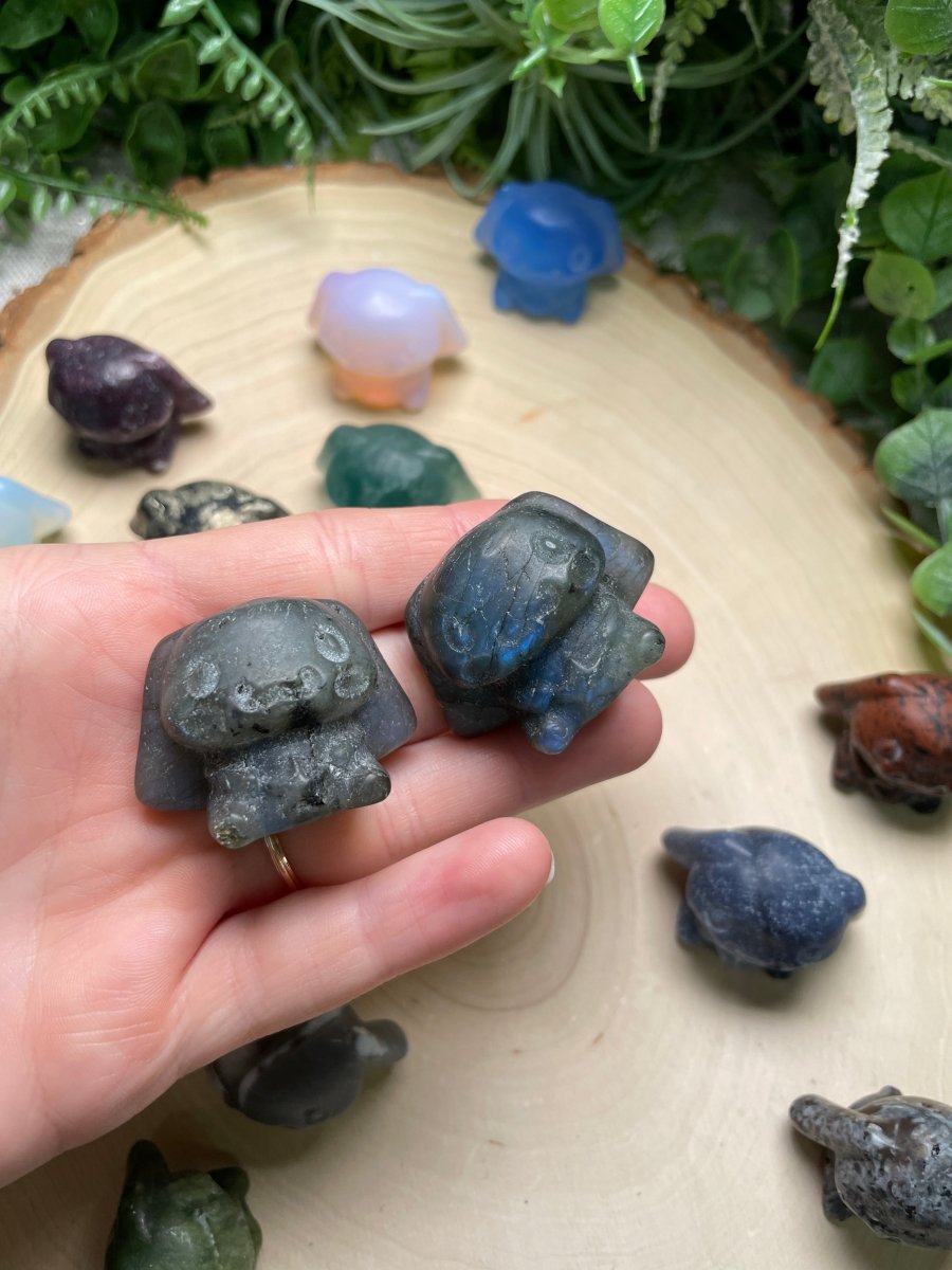 Crystal Cinnamoroll from Hello Kitty | Copper Ashes