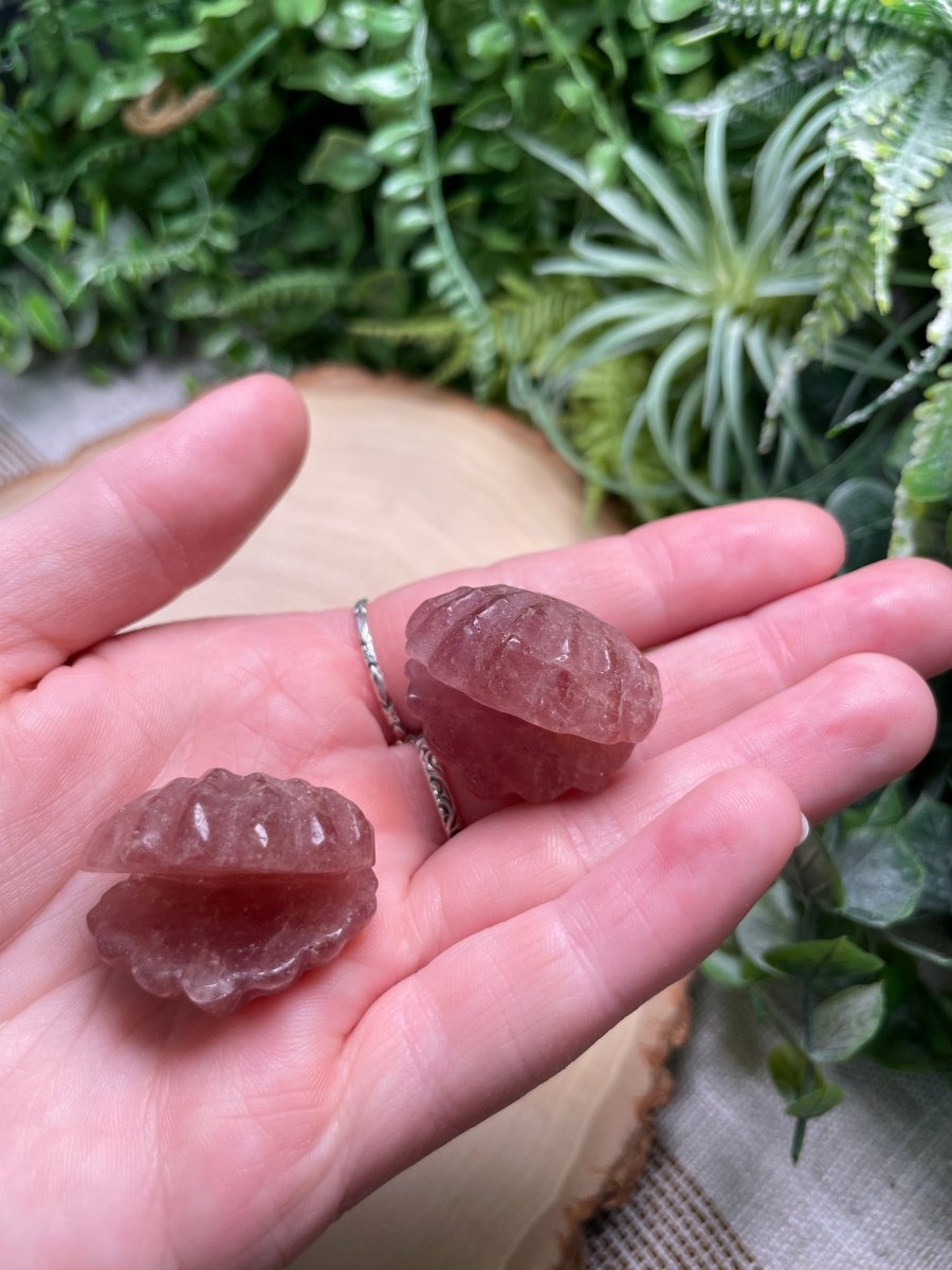 Crystal Clam | Copper Ashes