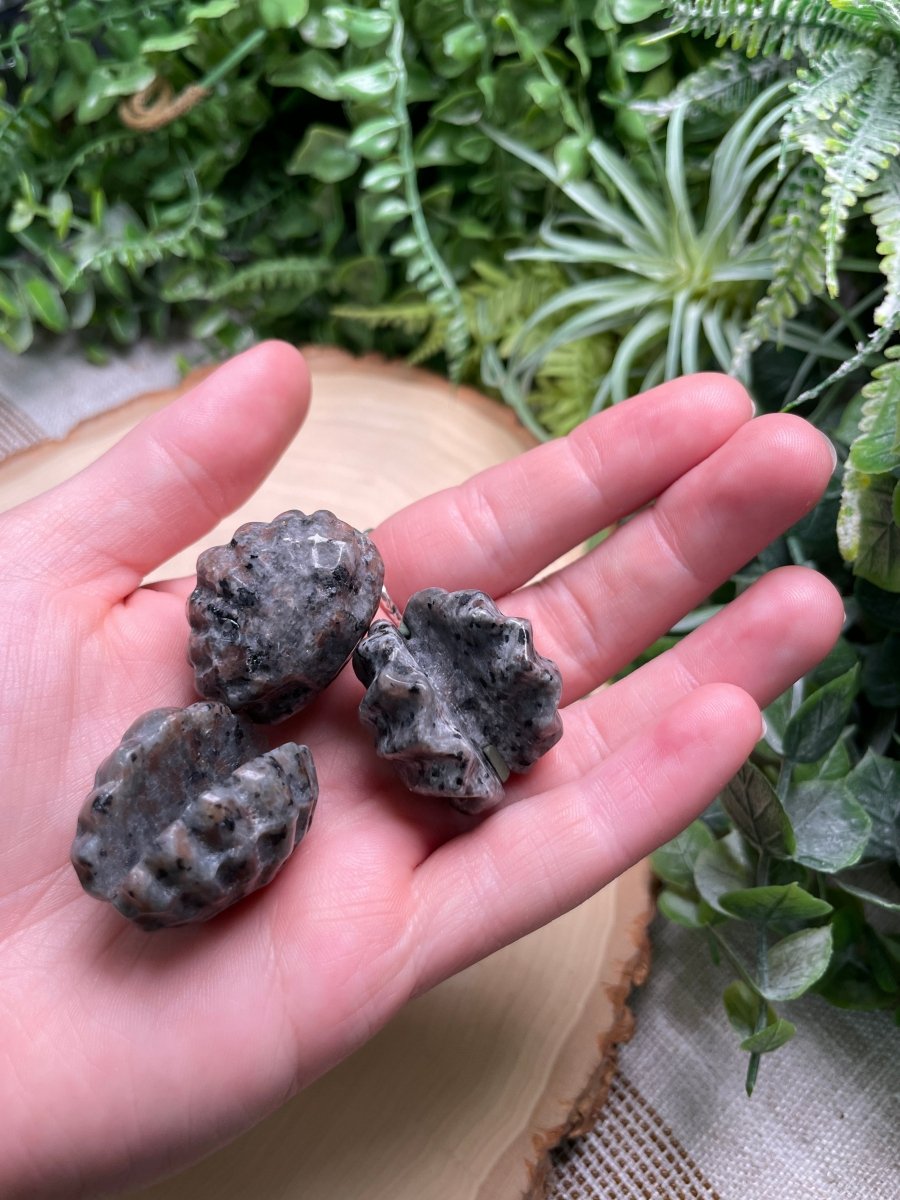 Crystal Clam | Copper Ashes