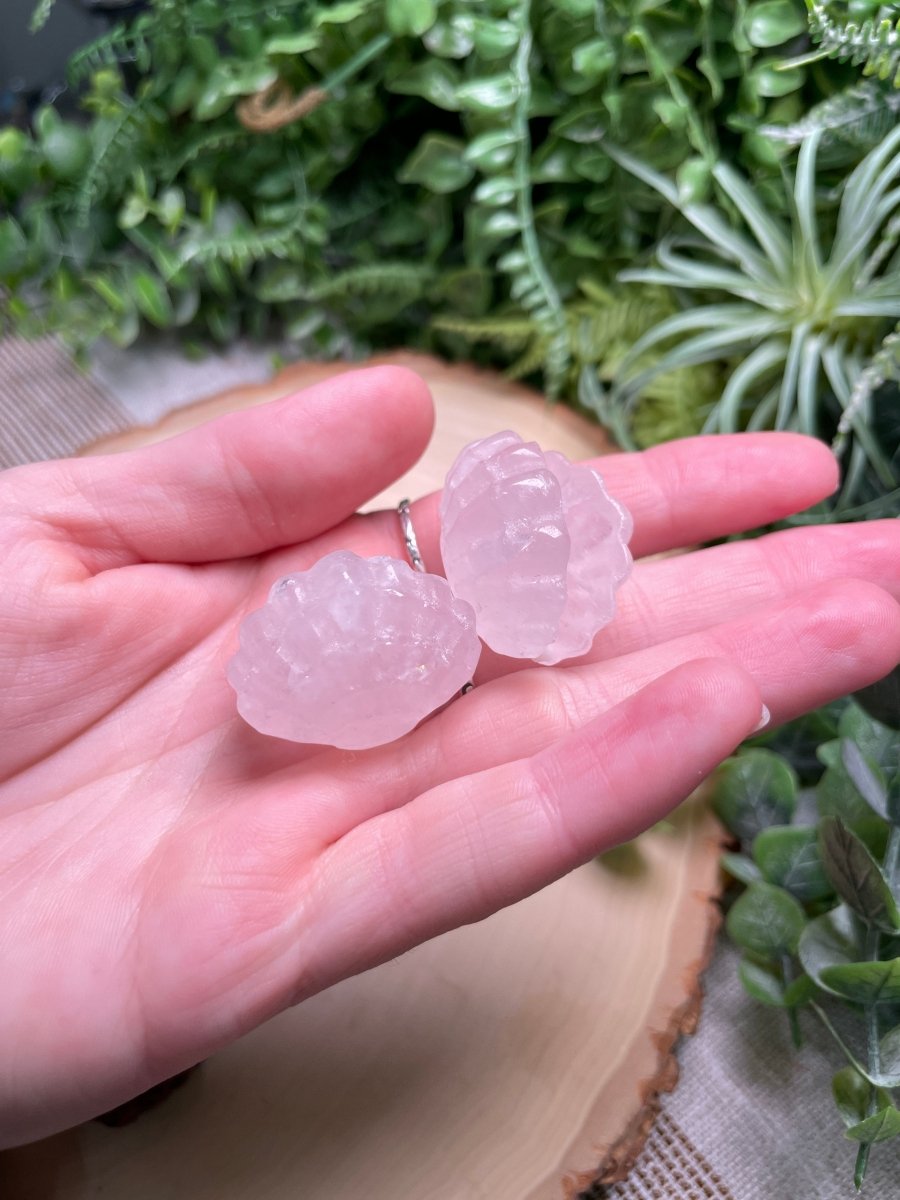 Crystal Clam | Copper Ashes