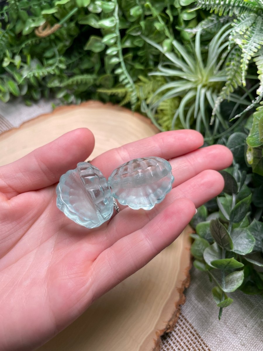 Crystal Clam | Copper Ashes