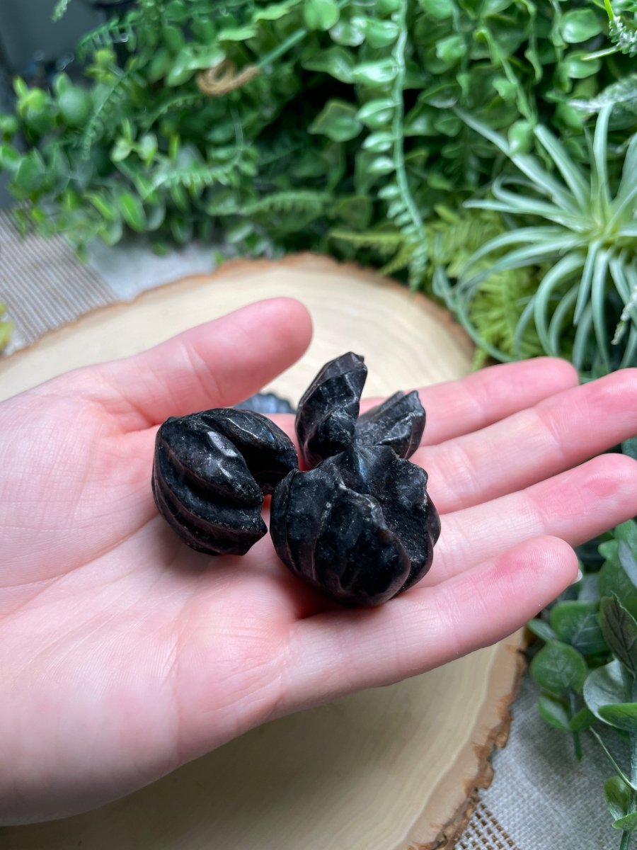 Crystal Clam | Copper Ashes