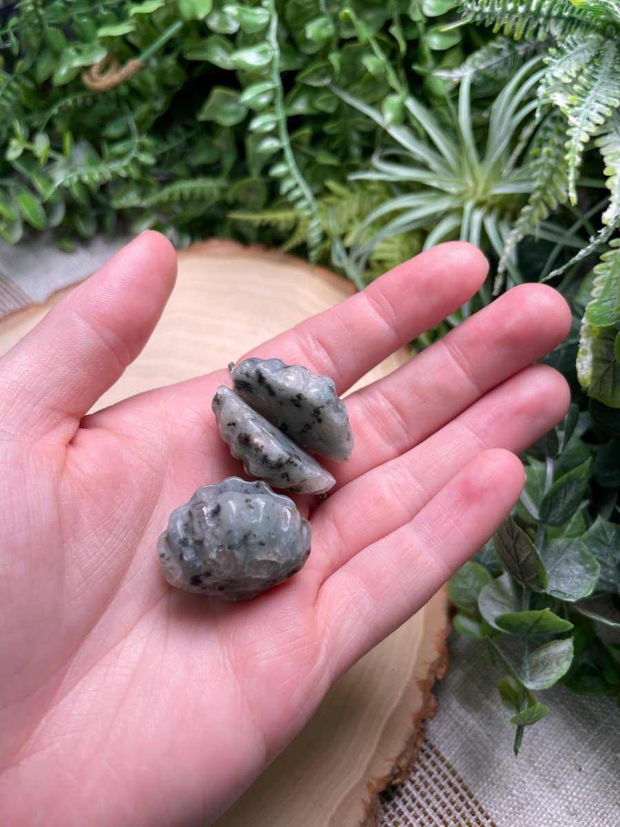 Crystal Clam | Copper Ashes