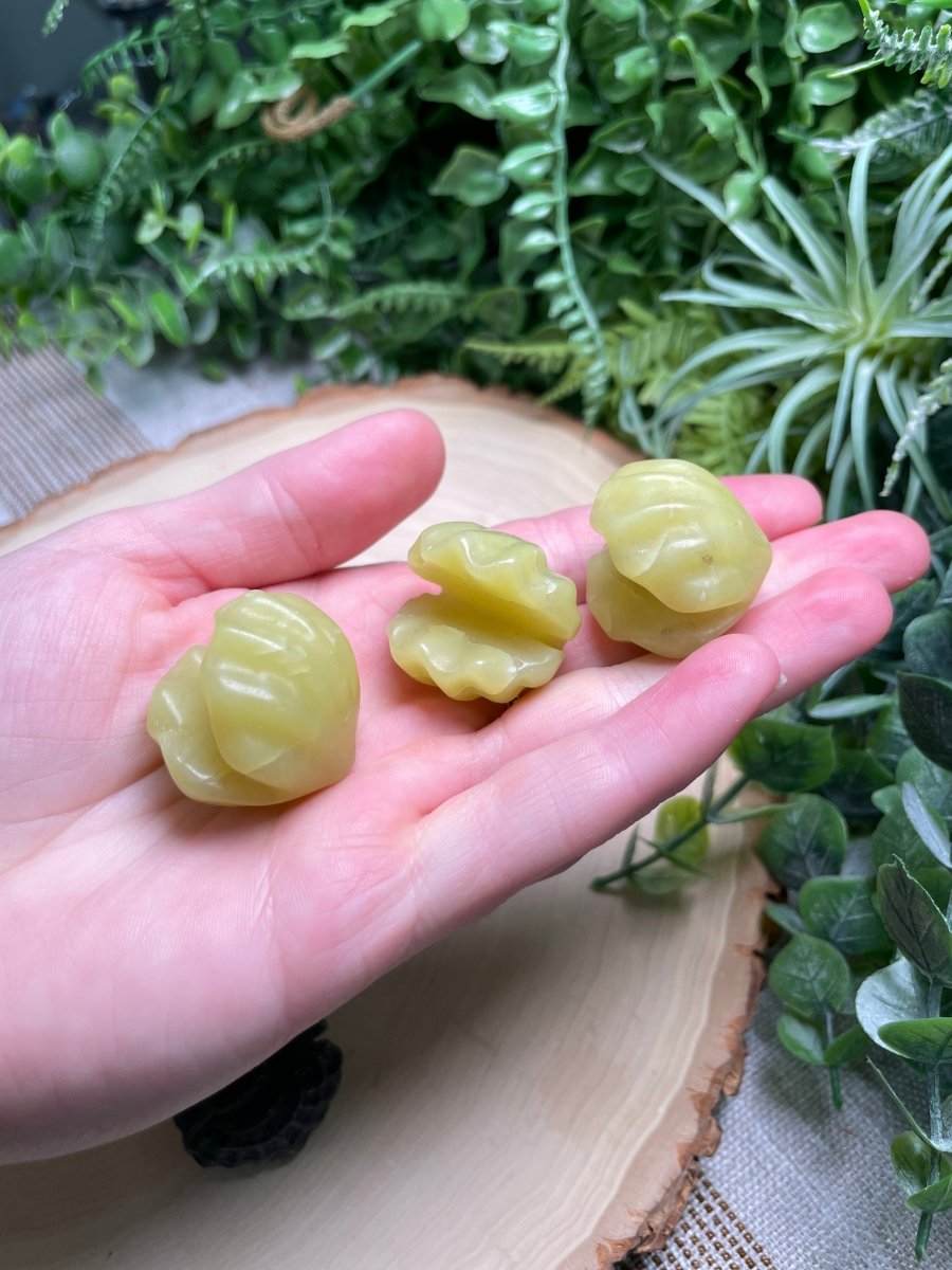 Crystal Clam | Copper Ashes