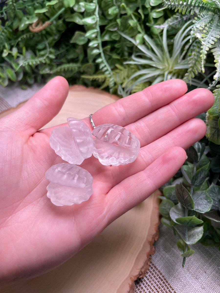 Crystal Clam | Copper Ashes