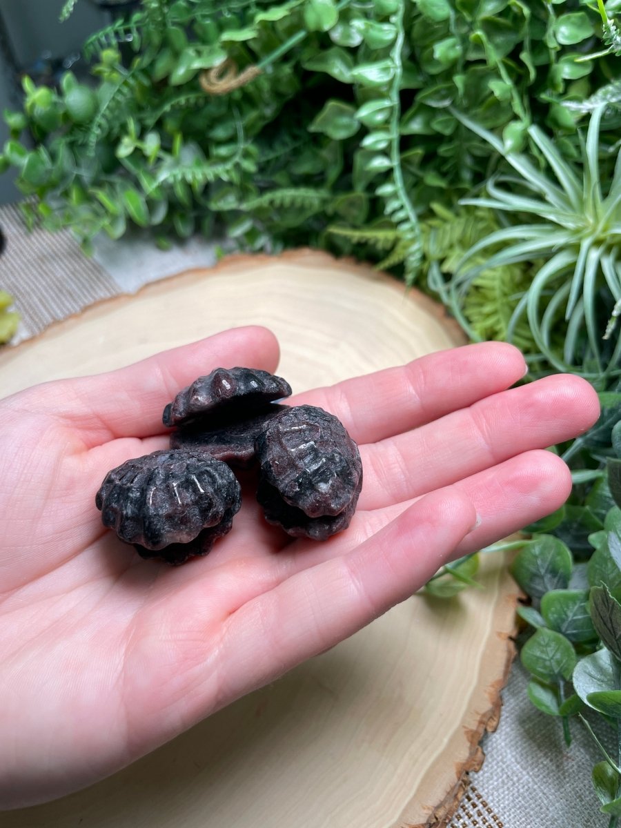 Crystal Clam | Copper Ashes