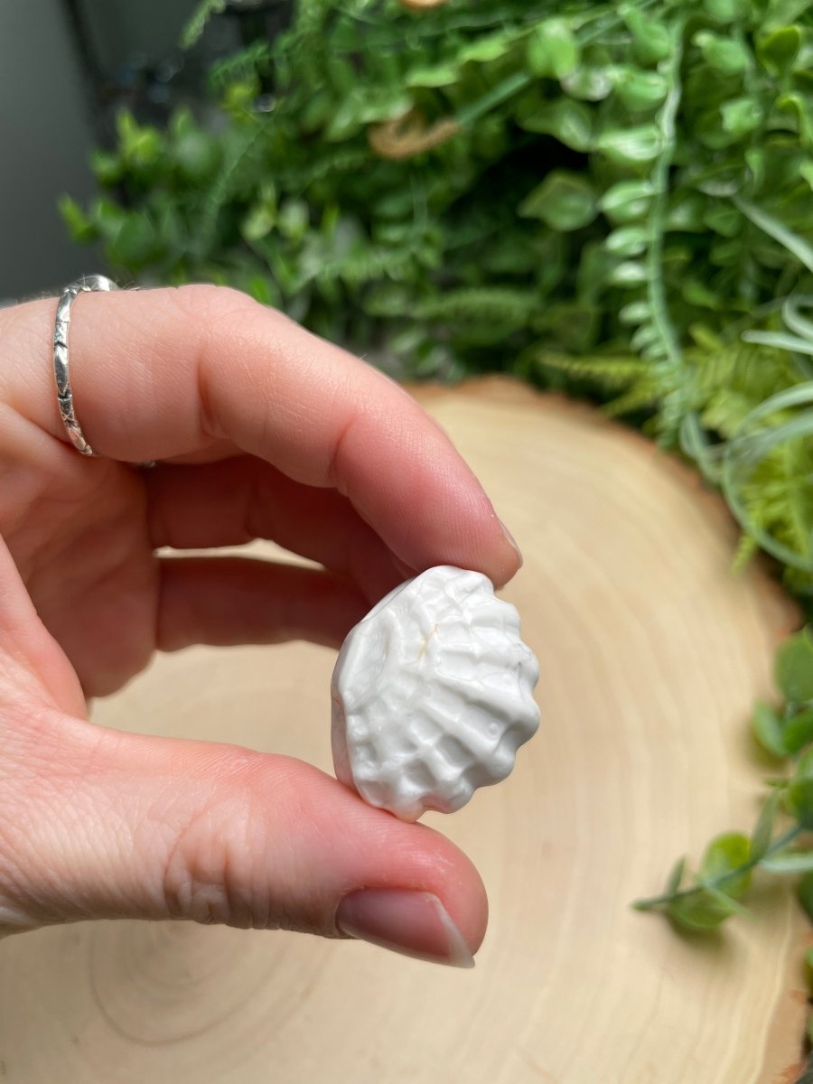 Crystal Clam | Copper Ashes