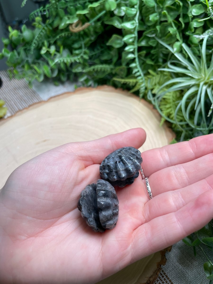 Crystal Clam | Copper Ashes