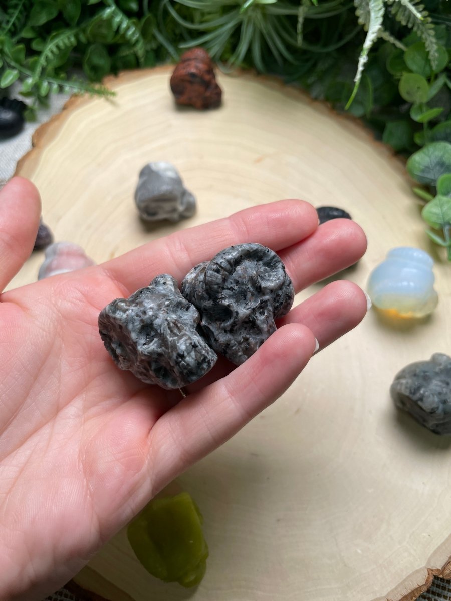 Crystal Demon Skull | Copper Ashes