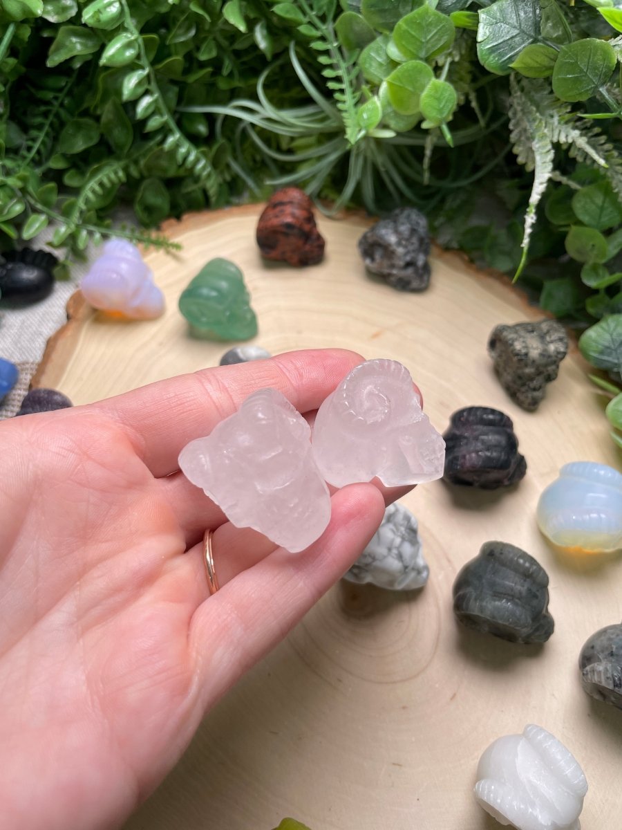 Crystal Demon Skull | Copper Ashes