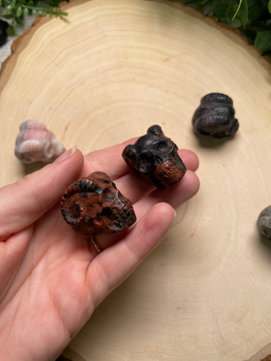 Crystal Demon Skull | Copper Ashes