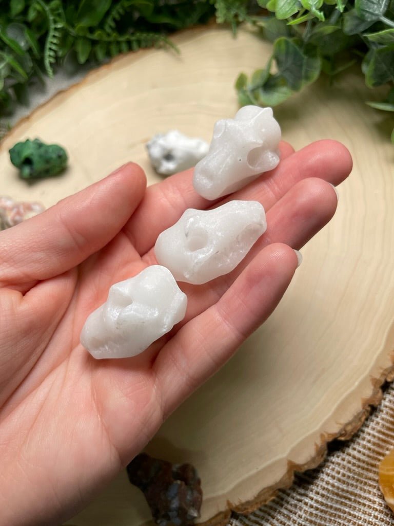 Crystal Dog Skull | Copper Ashes