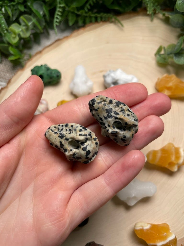 Crystal Dog Skull | Copper Ashes