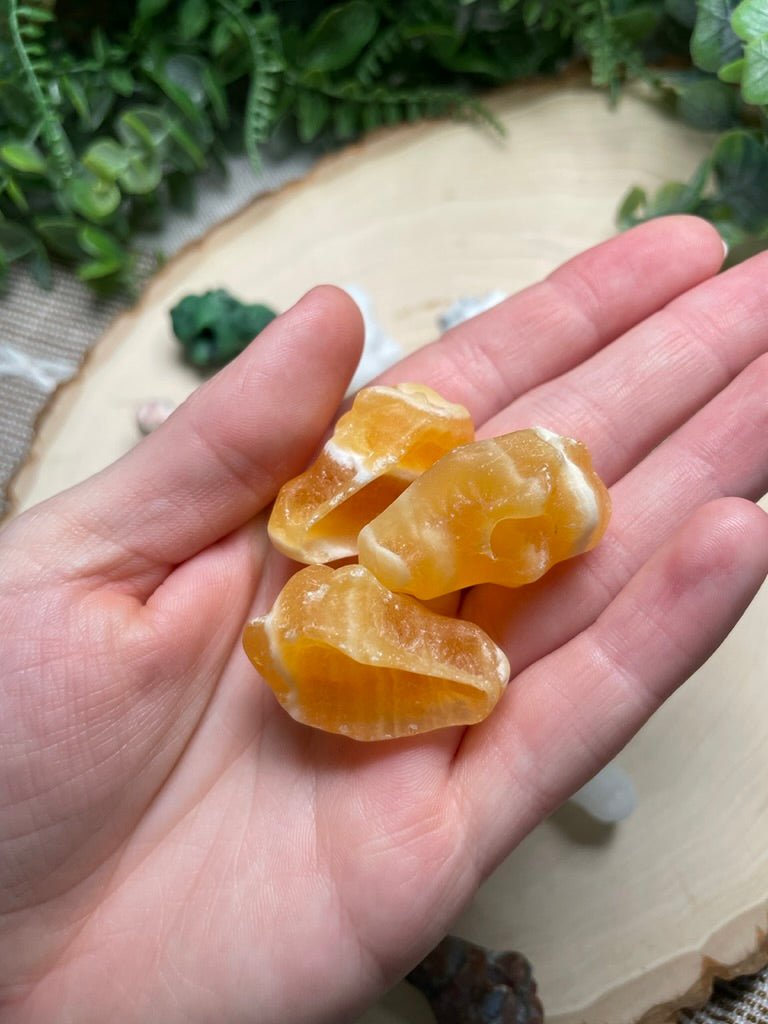 Crystal Dog Skull | Copper Ashes