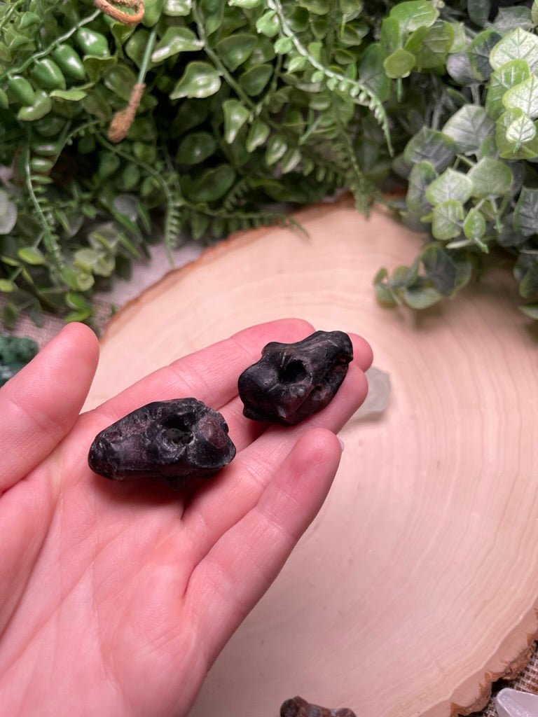 Crystal Dog Skull | Copper Ashes