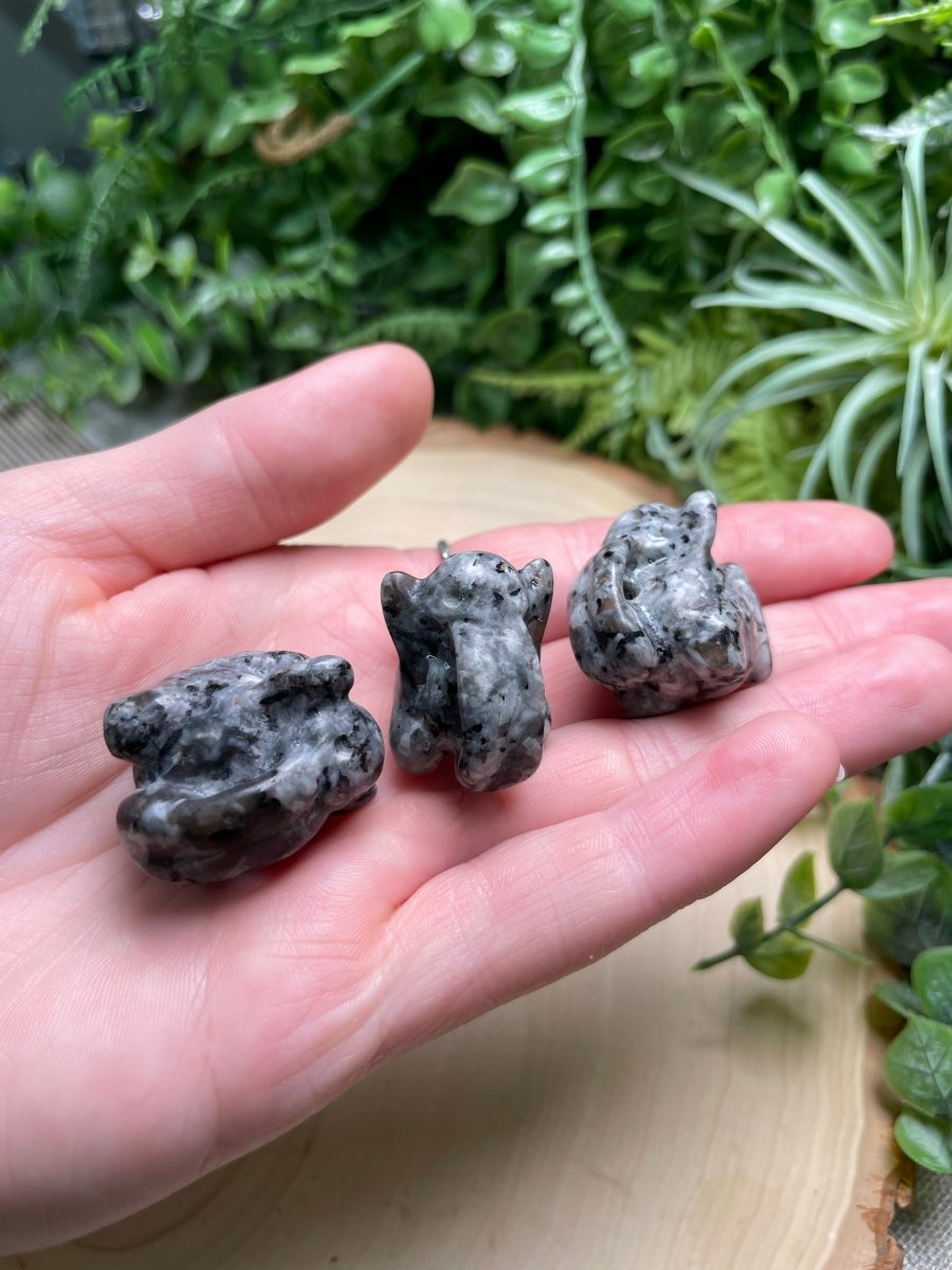 Crystal Lickitung Pokemon | Copper Ashes