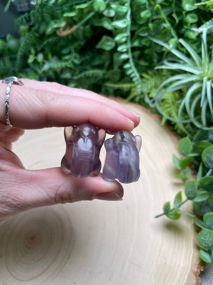 Crystal Lickitung Pokemon | Copper Ashes