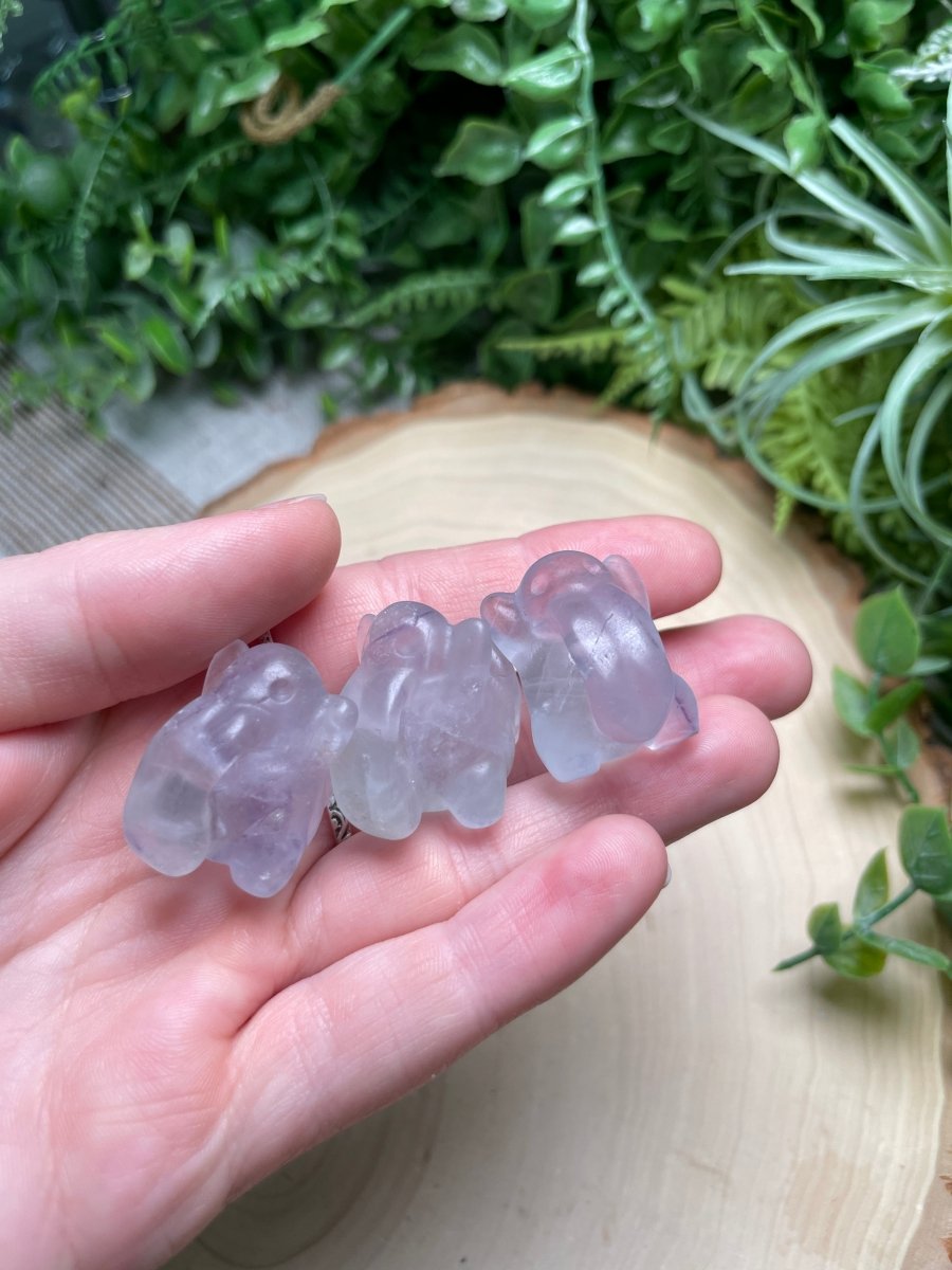 Crystal Lickitung Pokemon | Copper Ashes