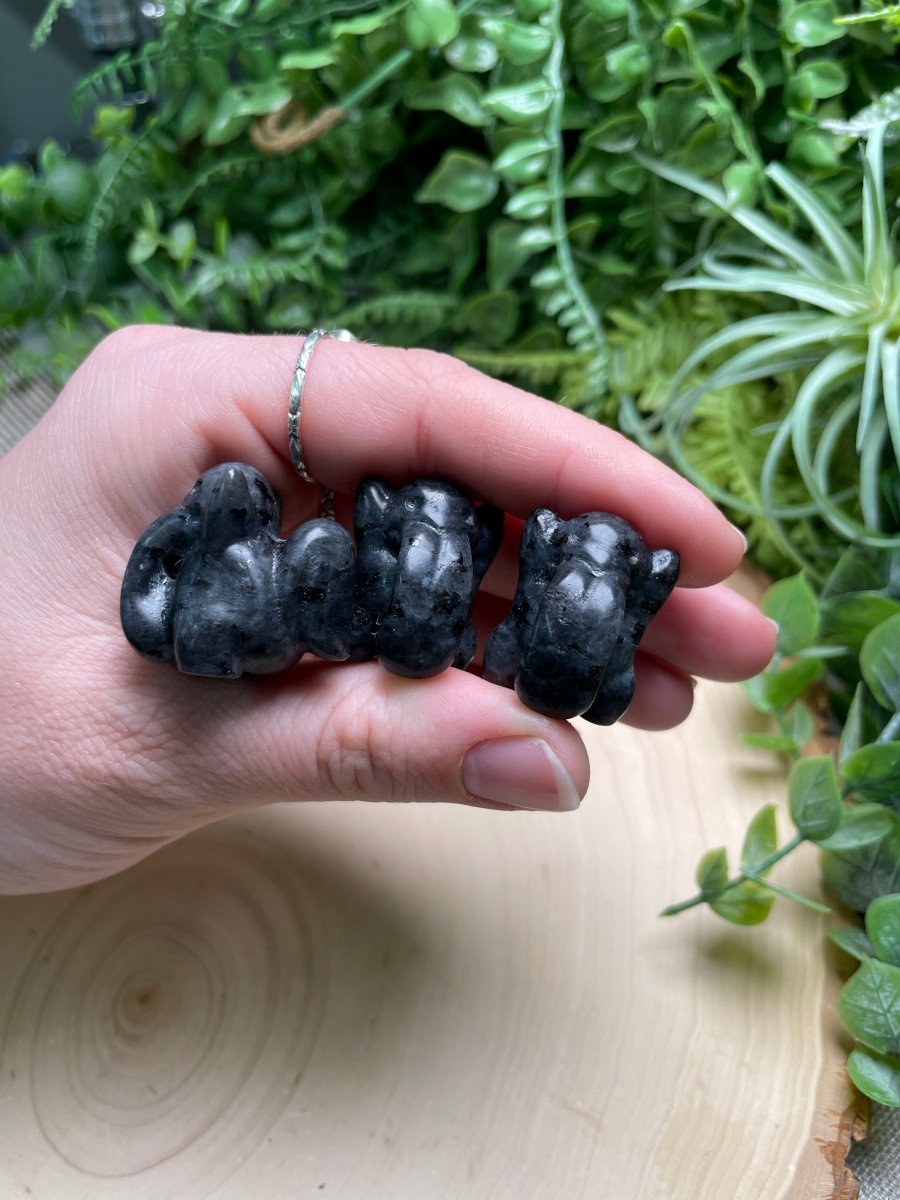 Crystal Lickitung Pokemon | Copper Ashes